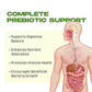 Essential Prebiotic Capsules – Inulin-Based Prebiotic - 120 Capsule by Being Well Essentials