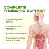 Essential Probiotics Plus - No Refrigeration Required - 100 vegetarian capsules